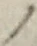 字ノ