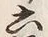 글자 六