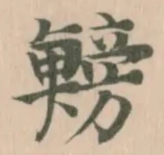 鰟 위치 확인됨