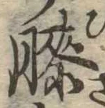 Đã định vị 膝