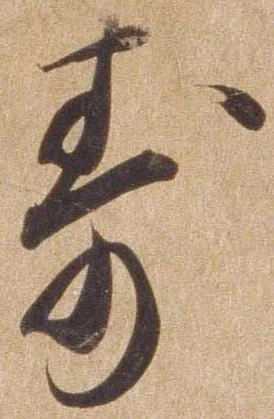 已定位寿