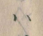 𛂞 위치 확인됨