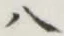 文字 八
