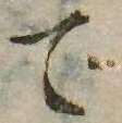 㐌定位で