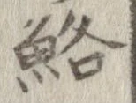 鮥の位置