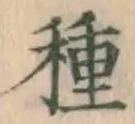 글자 種