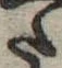 Đã định vị 𛁠