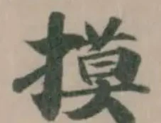 摸の位置