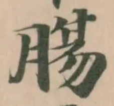 膓 위치 확인됨