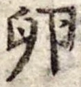 Đã định vị 卵