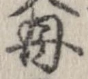 位置定マレル母