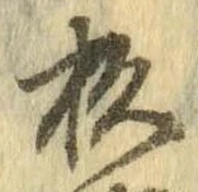 杉 위치 확인됨