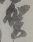賀 위치 확인됨