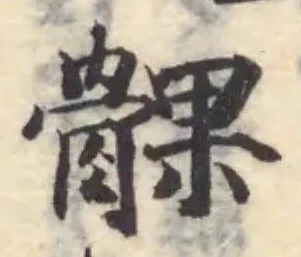 髁 위치 확인됨