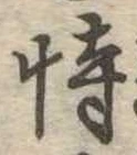 恃の位置
