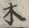 位置 確認된 木