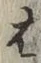 “は”字
