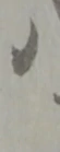 八 위치 확인됨