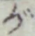 글자 が
