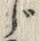 글자 じ