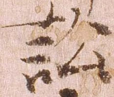 Đã định vị 訟