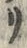 “リ”字