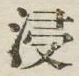 Chữ 浸