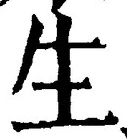 字生