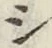 字シ
