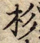位置定マレル杉