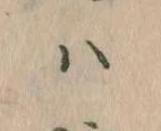 𛂞 위치 확인됨