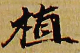 植 위치 확인됨