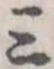 Đã định vị 三