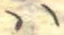 𛂞 위치 확인됨