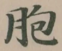 Đã định vị 胞