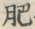 文字肥
