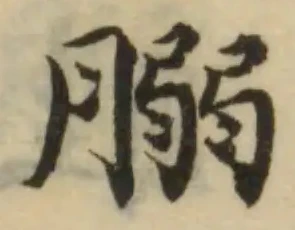 Đã định vị 䐞