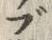 文字ブ