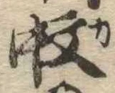 位置 確認된 蚊