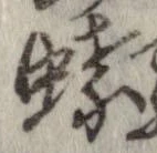 蝶 위치 확인됨