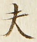 𡨸夫