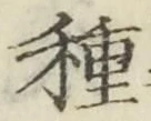 글자 種