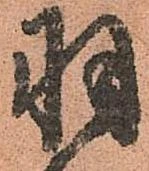 㐌定位羽