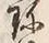 文字珍