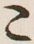 文字こ