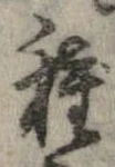 已定位種