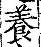 Chữ 養