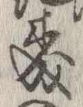 森 위치 확인됨