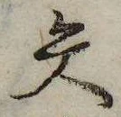 已定位矢