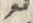 「ウ」字